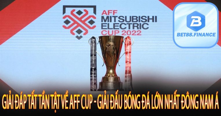 Giải đáp tất tần tật về AFF Cup - giải đấu bóng đá lớn nhất Đông Nam Á